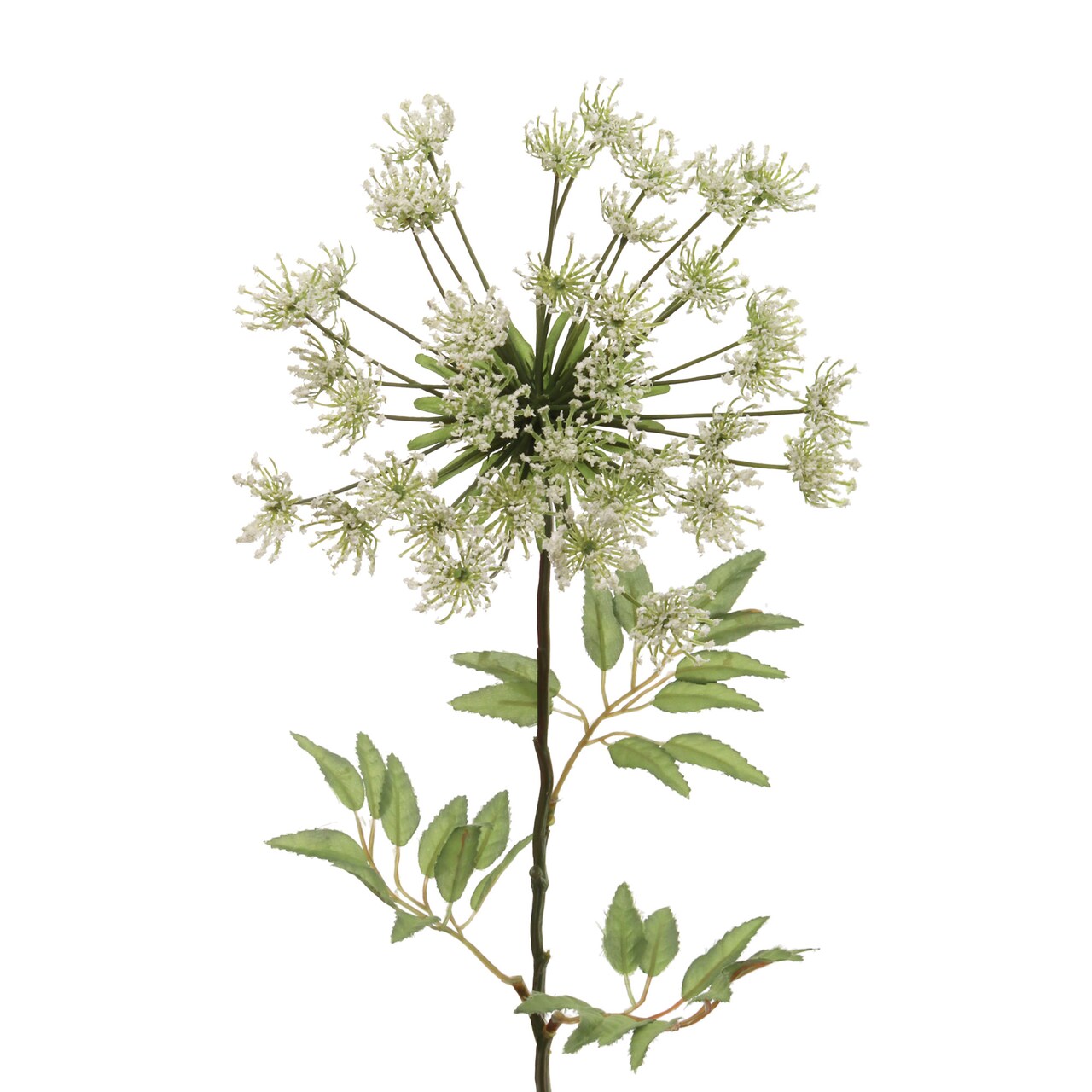 30" White Queen Anne's Lace Spray - Set of 12, Lifelike Artificial Blooms, Elegant Floral Décor, Perfect for Events & Home - Ideal for All Seasons, Floral Home by Artificial Flowers